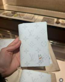 Picture of Louis Vuitton Wallets _SKUfw220573475fw